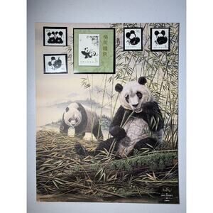 PRC China Giant Panda Vintage Fine Art Souvenir Print & Matching Set Mint Stamps